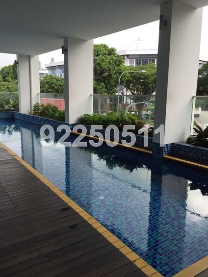 Harbour Suites (D4), Apartment #160653822